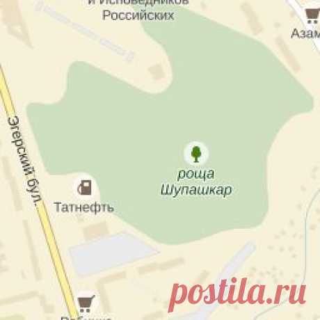 Жилет спасательный VOSTOK р.48-52 (оранж.) 16-1-1-098 - купить в интернет-магазине ОНЛАЙН ТРЕЙД.РУ в Чебоксарах.
