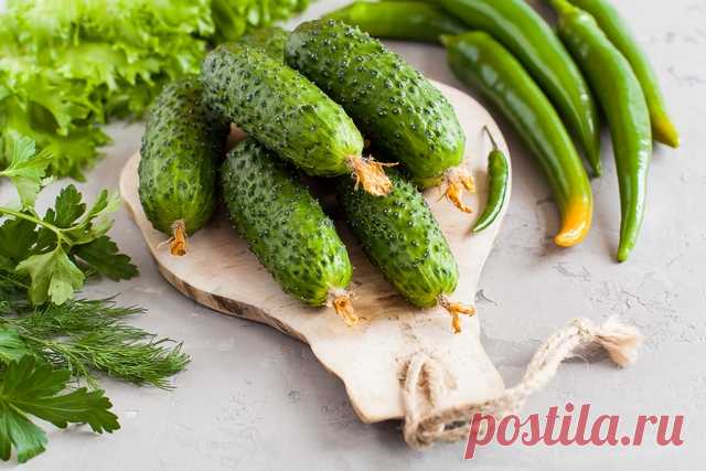 «Венгры» и «трясуны». Пять необычных рецептов малосольных огурцов