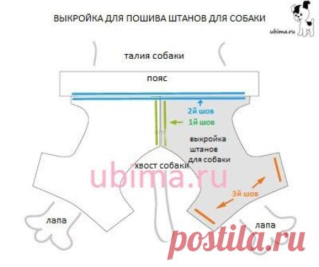 выкройка для собаки таксы - 115 тыс. картинок. Поиск Mail.Ru