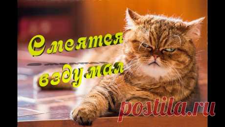 Посмеёмся вместе Анекдоты Шутки Юмор - Журнал полезных советов Посмеёмся вместе Анекдоты читать бесплатно. Смеяться и читать свежие анекдоты. Выпуск шуток и смешных картинок. Свежий юмор и шутки.
