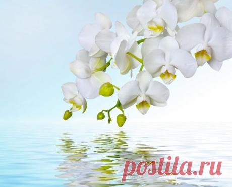 Cкинали HomeComfort: производство кухонных фартуков