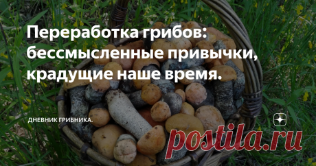 Переработка грибов: бессмысленные привычки, крадущие наше время. При переборке опят вдруг обратила внимание на свои странные действия:  совершенно неосознанно брала каждый опенок и снова подрезала ножку. Подумалось: а какой в этом смысл? Посмотреть не червив ли гриб? Лето все-таки...
1. Нет, это привычка, вложенная с молодости, тщательно перебирать каждый грибок да еще и пленку счищать или колечко снимать с каждого опенка.
Смысла в такой переработке  никакого,