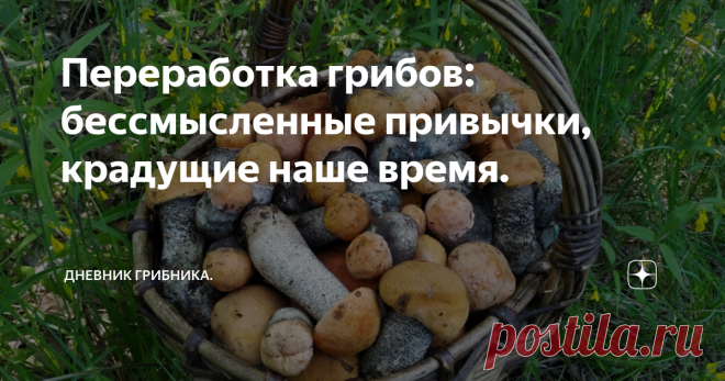 Переработка грибов: бессмысленные привычки, крадущие наше время. При переборке опят вдруг обратила внимание на свои странные действия:  совершенно неосознанно брала каждый опенок и снова подрезала ножку. Подумалось: а какой в этом смысл? Посмотреть не червив ли гриб? Лето все-таки...
1. Нет, это привычка, вложенная с молодости, тщательно перебирать каждый грибок да еще и пленку счищать или колечко снимать с каждого опенка.
Смысла в такой переработке  никакого,