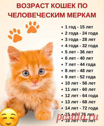 А вы знали? 
Сколько лет вашему питомцу?