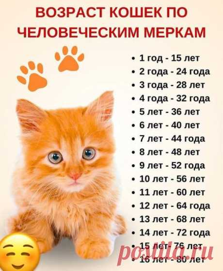 А вы знали? 
Сколько лет вашему питомцу?