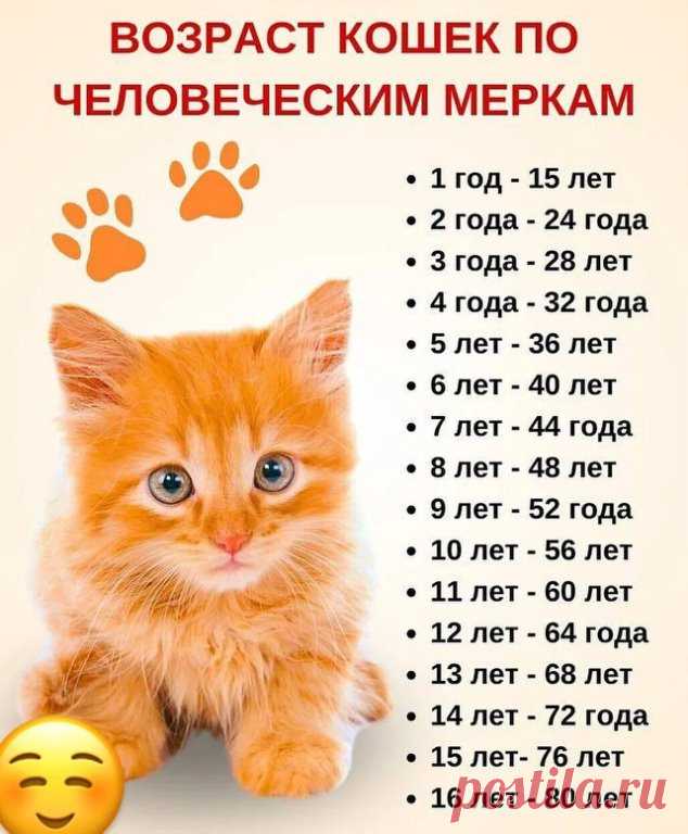 А вы знали? 
Сколько лет вашему питомцу?