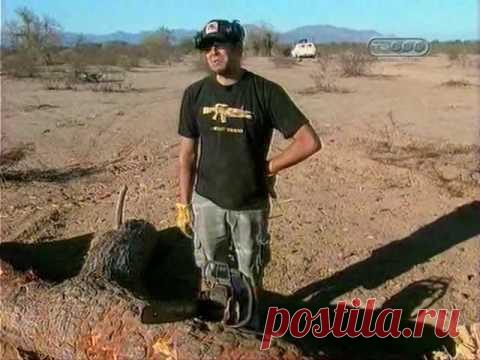 Срубание дерева из минигана