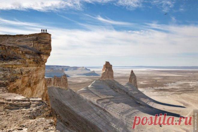 (+1) тема - По бездорожью великого Устюрта | Среда обитания