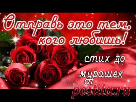 🌹☀️ДО СЛЁЗ КАК ТРОГАТЕЛЬНО!☀️🌹 ДОБРОЕ УТРО! С Добрым Утром! Музыкальная открытка | СТИХ