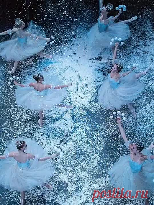 video_2530386384382.mp4