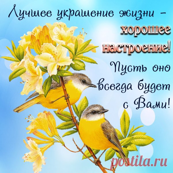 Хорошее  настроение  для  всех.