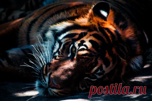 Nature Images - Free Nature Photos - Visual Hunt