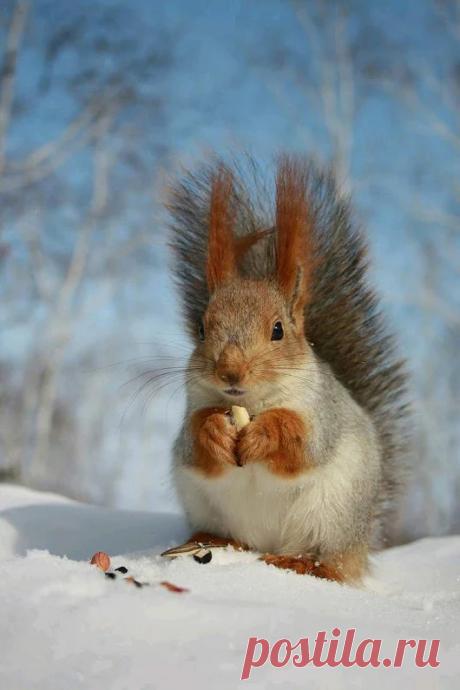 Про Фото – Google+