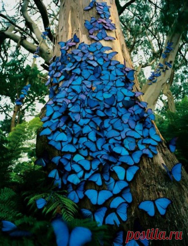 Вы должны увидеть эти необычные фото