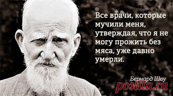 Джордж Бернард Шоу: биография писателя, драматурга, прозаика, эссеиста, реформатора театра 20 века, пропагандиста драмы идей