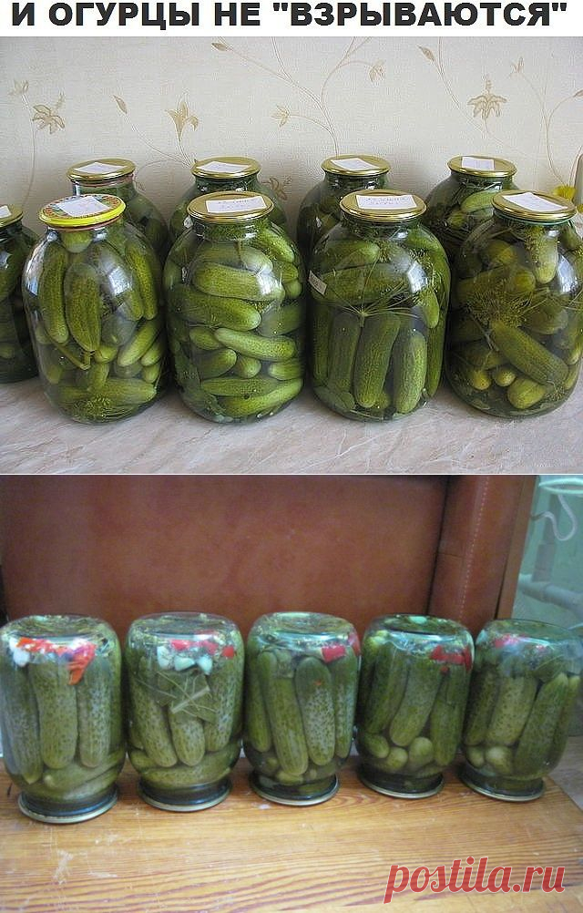 Способ засолки огурцов - чтобы банки никогда не взрывались!