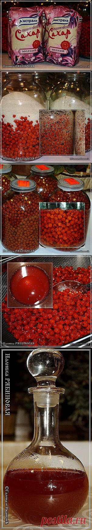 Наливка рябиновая - кулинарный рецепт
