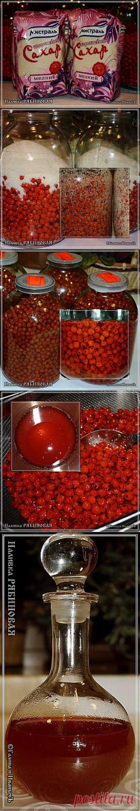 Наливка рябиновая - кулинарный рецепт