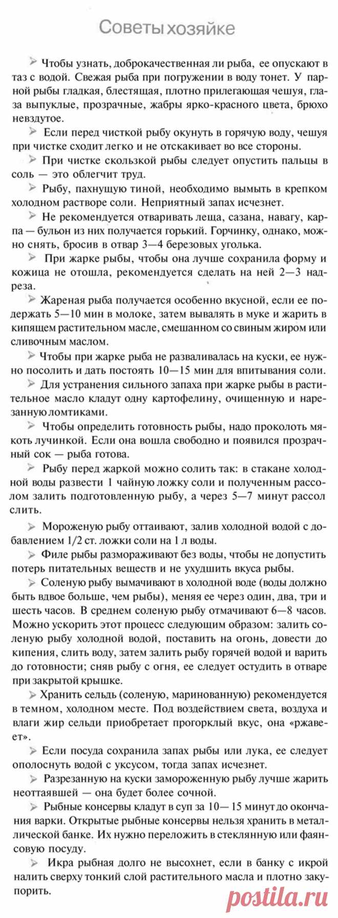 Рыбные советы