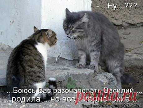bondaren-nadejda — «416938[1].jpg» на Яндекс.Фотках