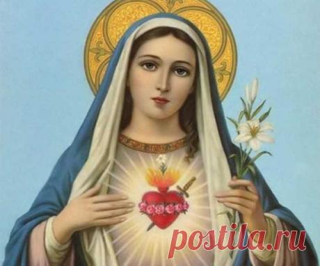 Какие молитвы помогают: 15 православных молитв о сыне? Сильные молитвы матерям о сыновьях. Молитвы матери за сына 100% Помогающие молитвы Лучшие молитвы матери о сыне: сильная защита, читать и слушать онлайн. Какие молитвы читать за сына? Тексты сильных молитв матери о сыне. Какие молитвы