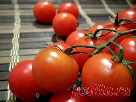 КАКИЕ СЕМЕНА ТОМАТОВ ВЫБРАТЬ НА БУДУЩИЙ СЕЗОН?

Томаты – одна из самых популярных культур наших огородов. Однако если в одних случаях они удаются на славу, то в других откровенно разочаровывают. И дело тут не только в своевременном соблюдении правильных агротехнических приемов, но и в подборе сортов.

Именно грамотно подобранный сорт томата способен обеспечить 50% успеха урожая, а уж затем и качественный полив, и своевременные подкормки, и пасынкование, и прочие хитрости. ...