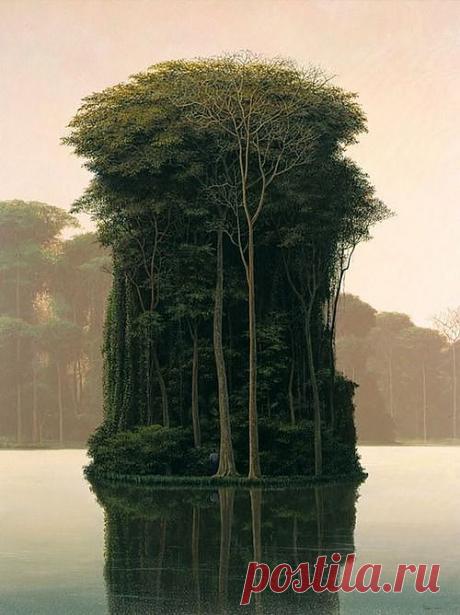 легенды о дереве