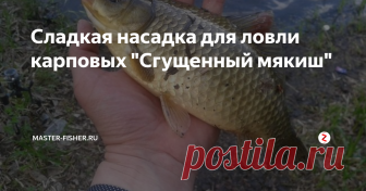 Сладкая насадка для ловли карповых 