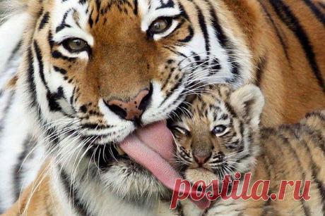 Интересные новости