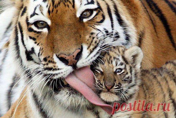 Интересные новости