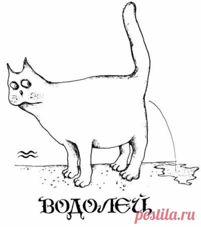 Все О Знаках Зодиака