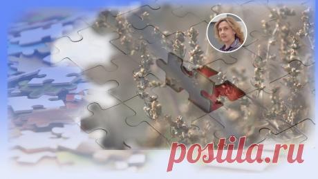 Как распознать 5 собственных чувств, которые часто путают с любовью | Ольга Зимихина | Яндекс Дзен