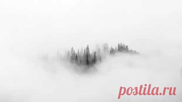 Минимализм: приёмы композиции в фотографии