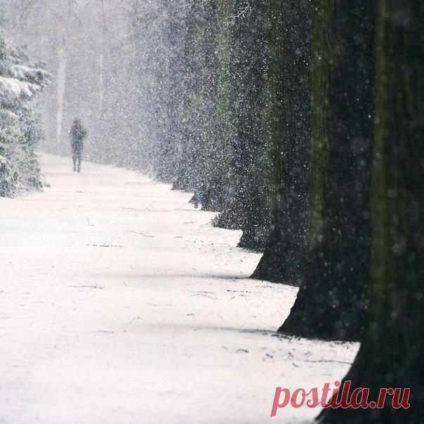 Время послушать великих поэтов.