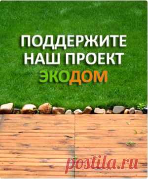 Как выбрать нетоксичные стройматериалы | Гринпис России