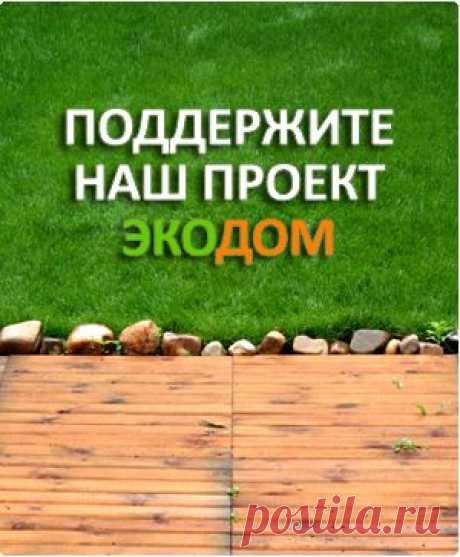 Как выбрать нетоксичные стройматериалы | Гринпис России