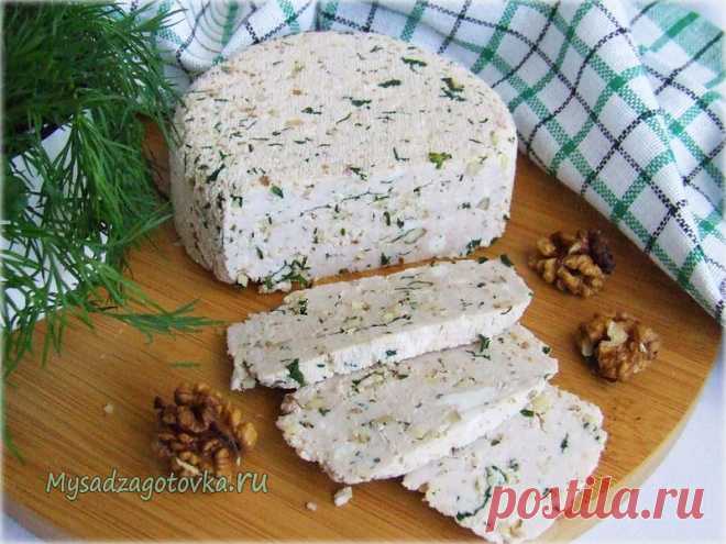 Домашний сыр с зеленью и грецким орехом — Сад Заготовка