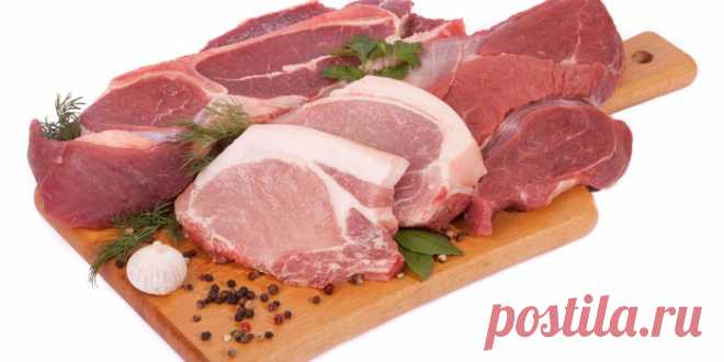 Отбивные в духовке - вкусные рецепты правильного приготовления сочного запеченного мяса с фото