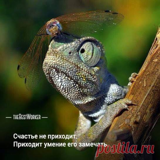 У Психолога - #родители #дети #любовь #воспитание