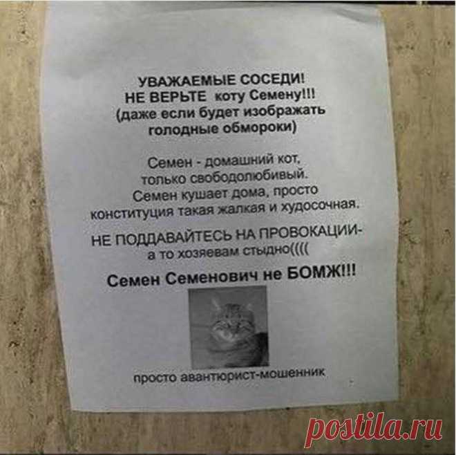 Попробуй не отреагируй на такие-то объявления