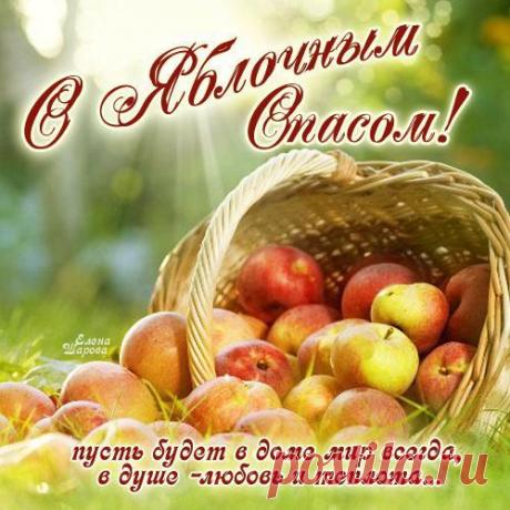Вот и яблочки поспели
К Спасу Яблочному в срок.
Будь всегда в здоровом теле,
И хранит пусть тебя Бог!