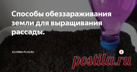 Способы обеззараживания земли для выращивания рассады. | Klumba-plus.ru | Яндекс Дзен
