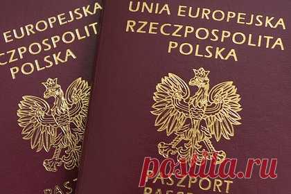 Поляков попросили покинуть Россию