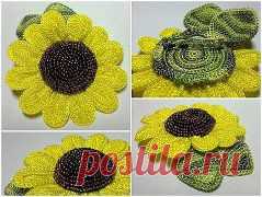 Картинки из тем