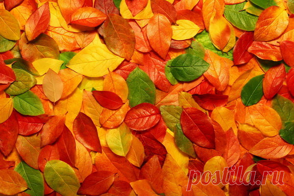 В какие народные приметы верили осенью?