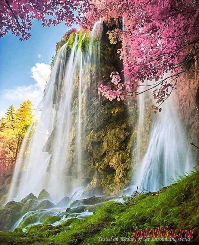 Страницы
