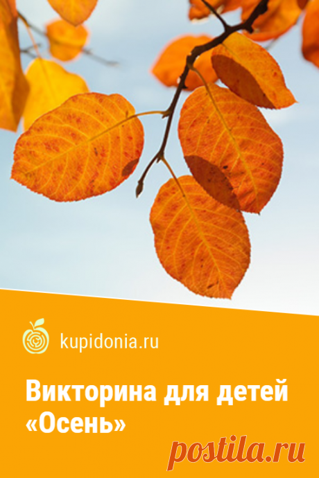 Викторина для детей «Осень». Интересный тест для детей об осени из серии «Времена года». Проверь свои знания!
