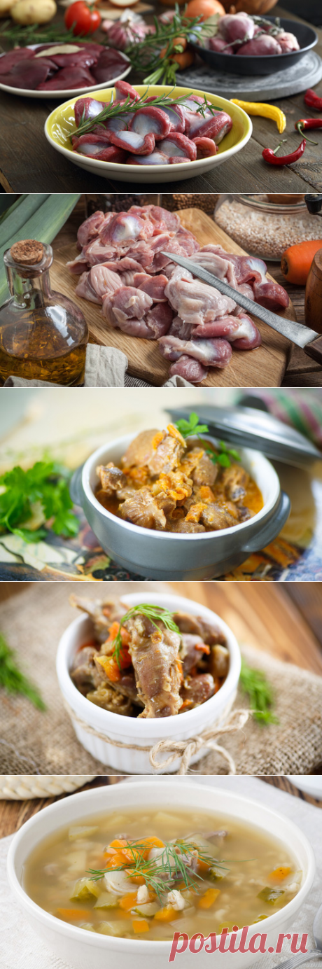 Как приготовить куриные желудки – рецепты из куриных желудков