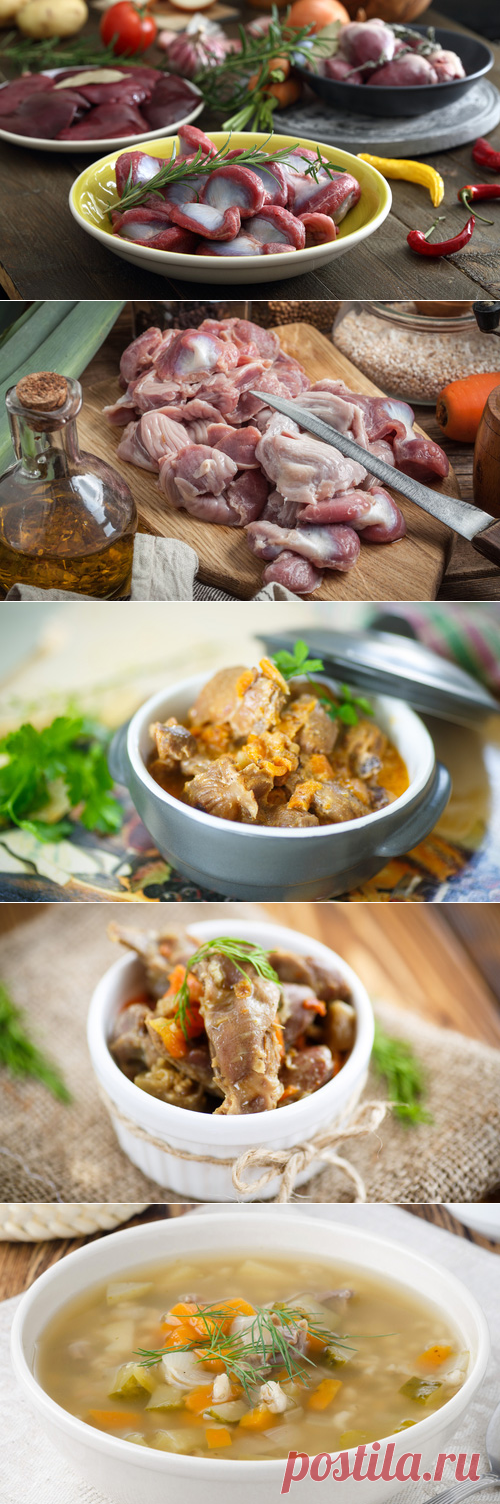 Как приготовить куриные желудки – рецепты из куриных желудков