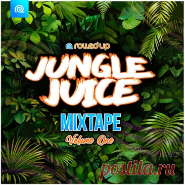 Download VA - Jungle Juice Mixtape, Vol. 1 - Musicvibez Label Rolled Up Records Styles Drum & Bass Jungle Date 2024-05-29 Catalog # CAT1060666 Length 48:55 Tracks 11